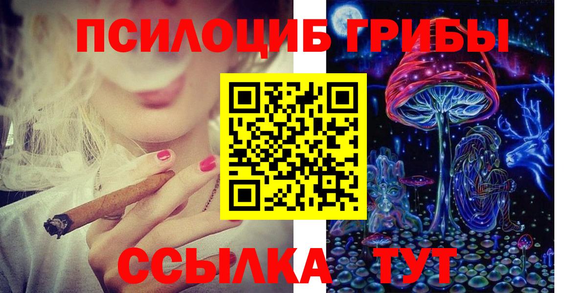 Псилоцибиновые грибы мицелий Менделеевск