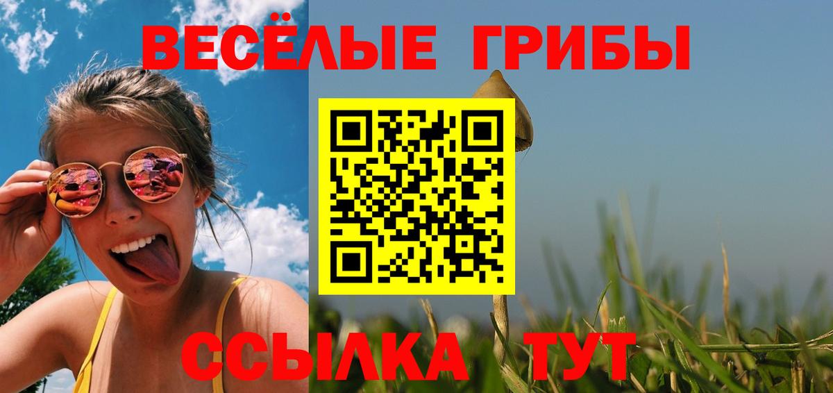 Менделеевск  Галлюциногенные грибы GOLDEN TEACHER  Вход с VPN 